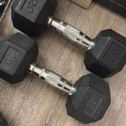 20 Lb  Dumbbells 
