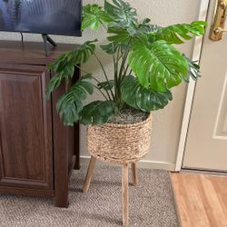 Fake Decorative Plant