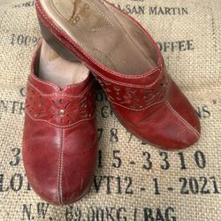 Dansko Clog