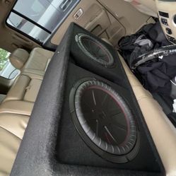 Twin 12 In Subwoofer 