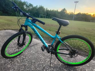 Mountain bike