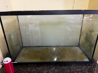 29 gallon aquarium fish tank and metal stand