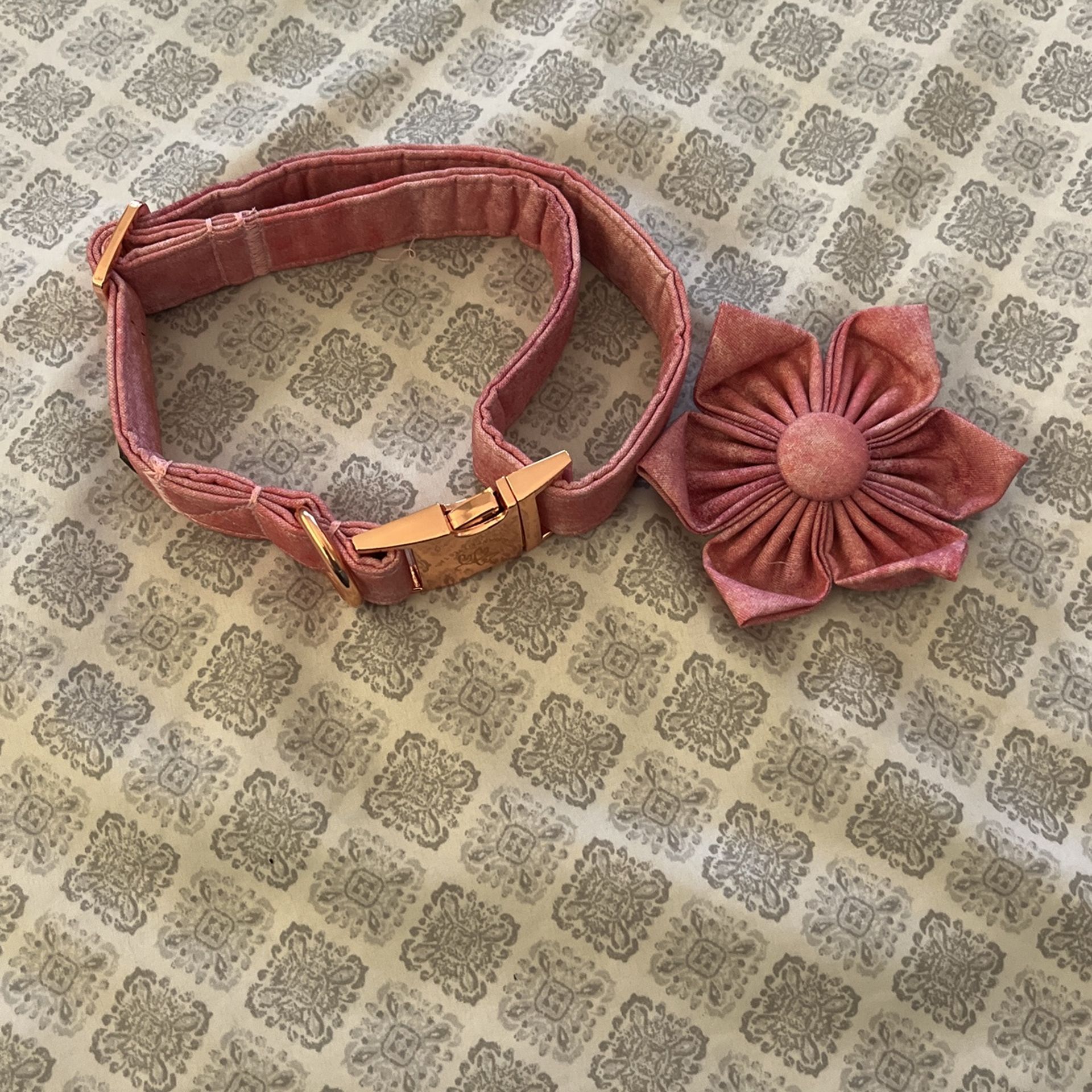 Elegant Little Tail Dog Collar 