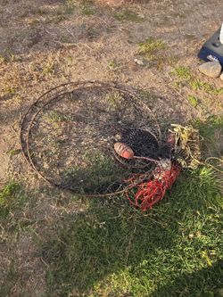 Free crab cages 2 of them