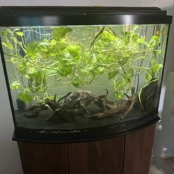 Multiple Fish Tanks for Sale – 10–65 Gallon Aquariums
