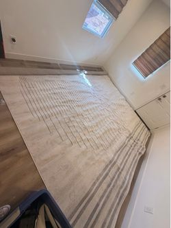 White grey Carpet