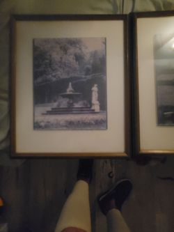 Set of 3 Vintage Framed Garden Art Prints — Large Wall Art