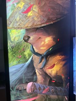 Acer 27in 144hz 1ms