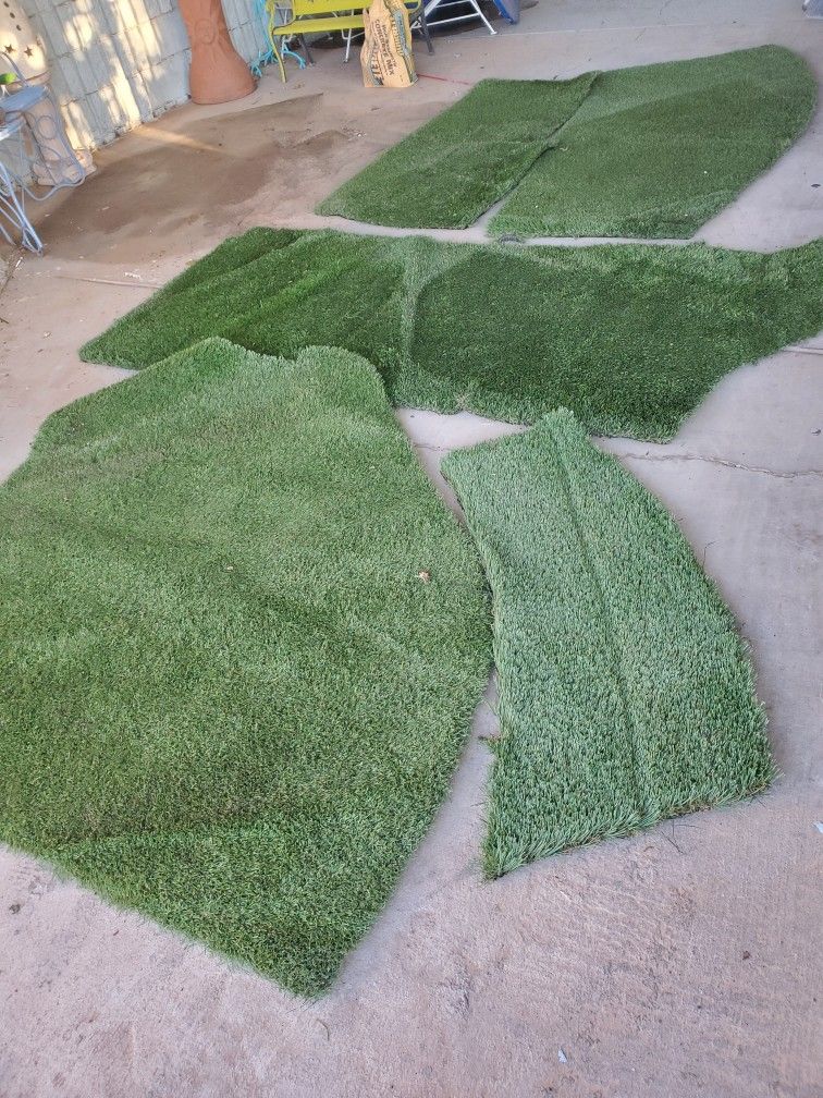 Artificial Grass