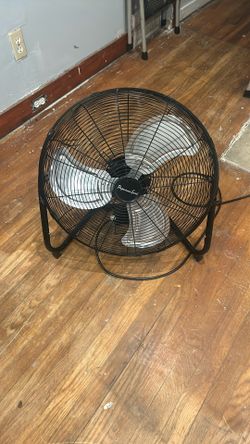 Fan