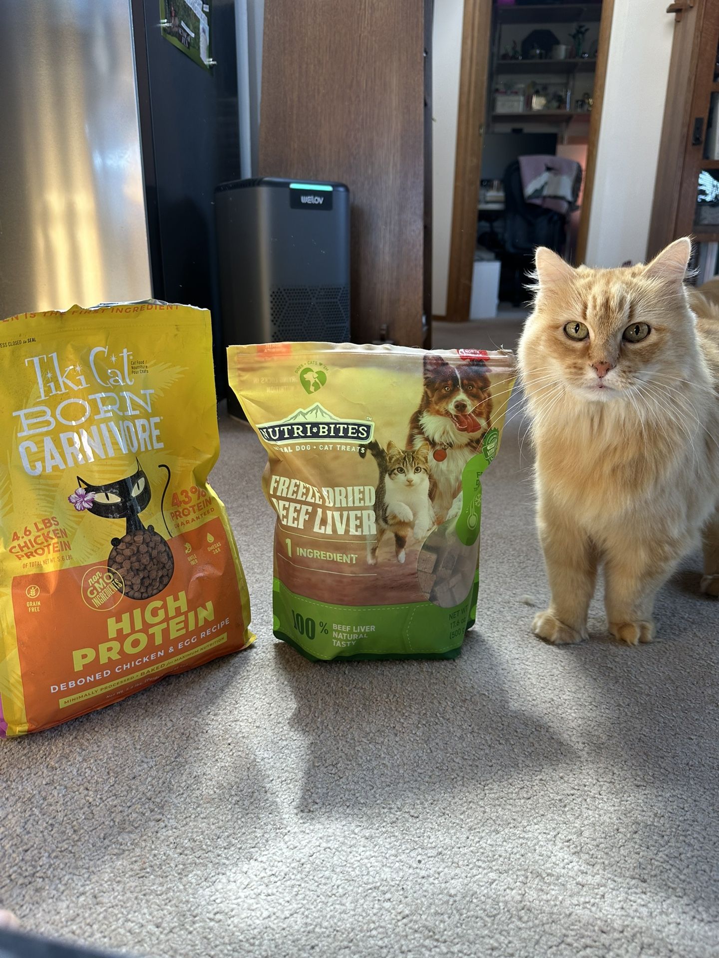 PENDING ** Free Cat Food + Treats