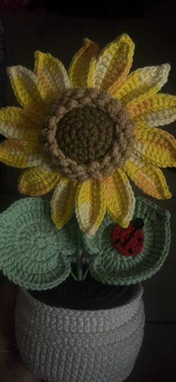 Crochet sunflower