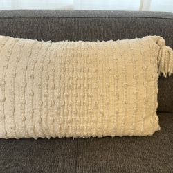 DKNY Decorative Pillow 