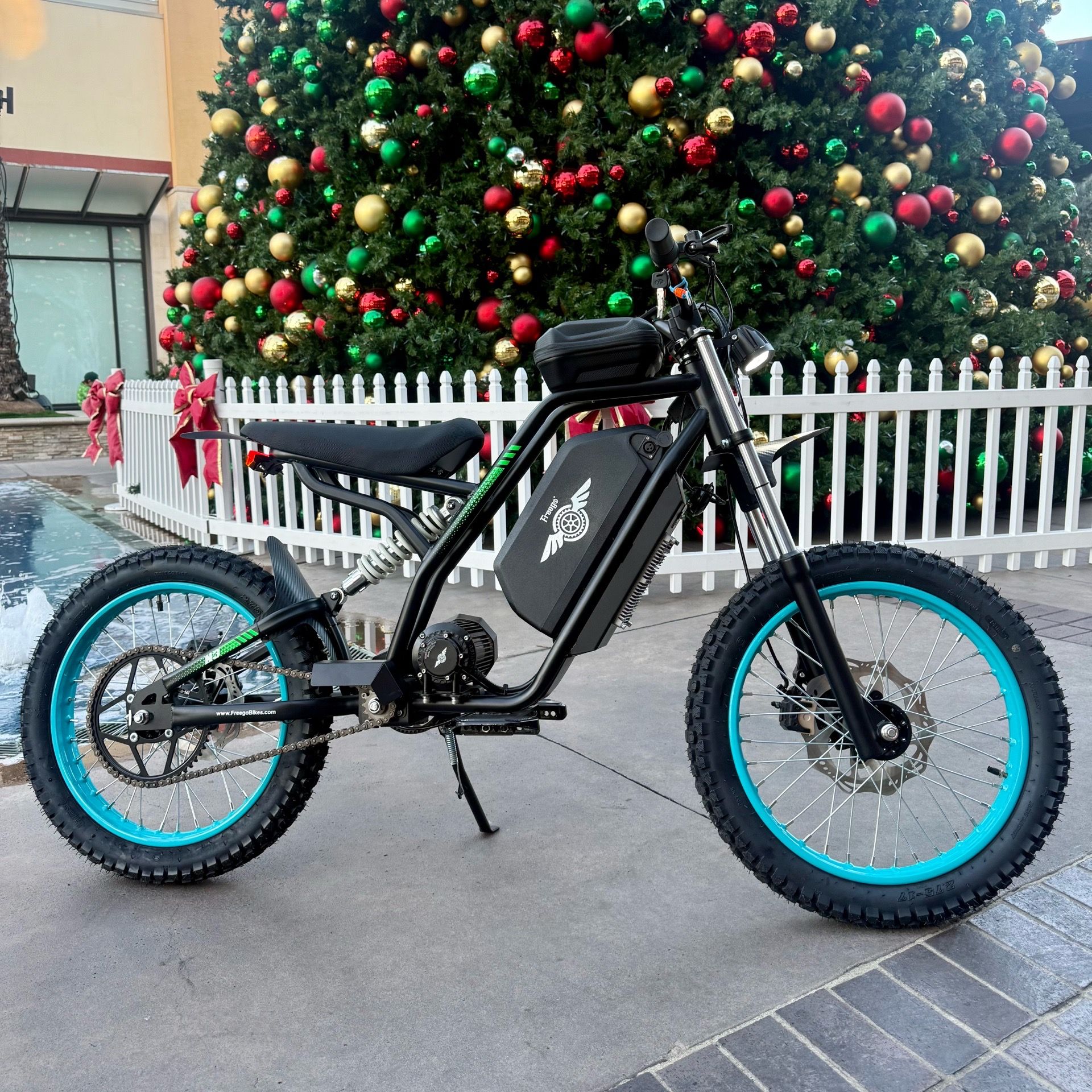 Electric bike