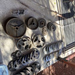 Exercise Equipment/Iron Weights