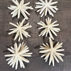 WHITE DECORATIVE STARFISH