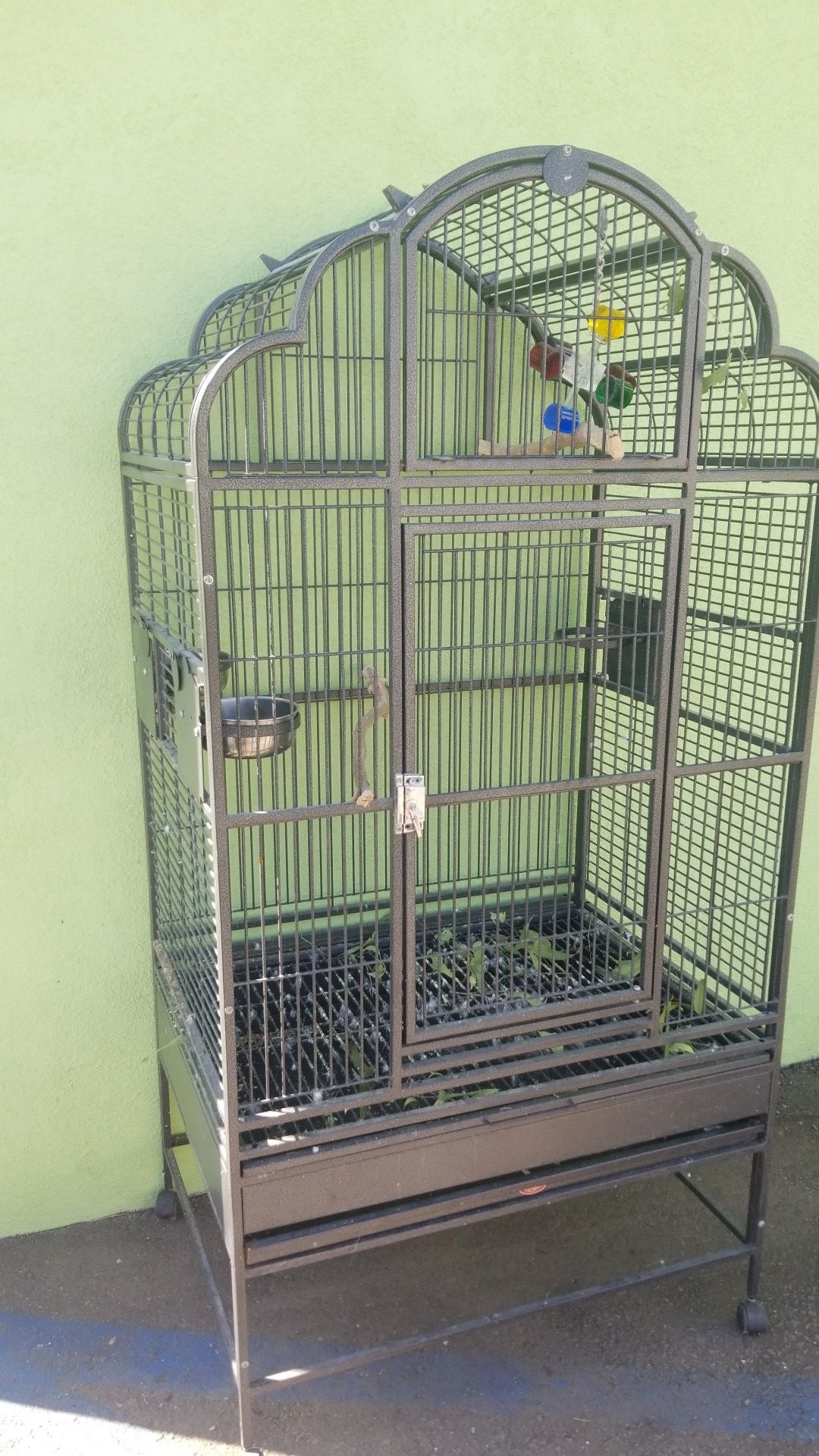 Macaw cockatoo Amazon size bird cage, clean