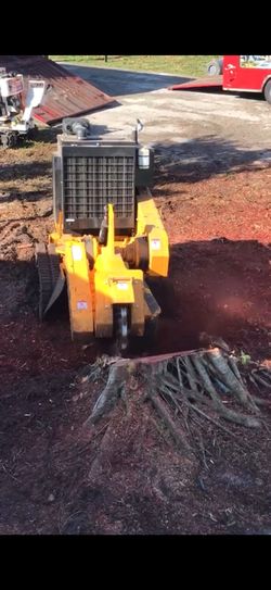 Stumps Grinding 