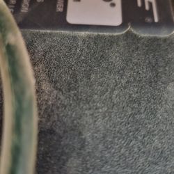 Bose Speaker Pair