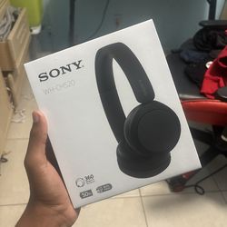 SONY WH-CH520 Headphone