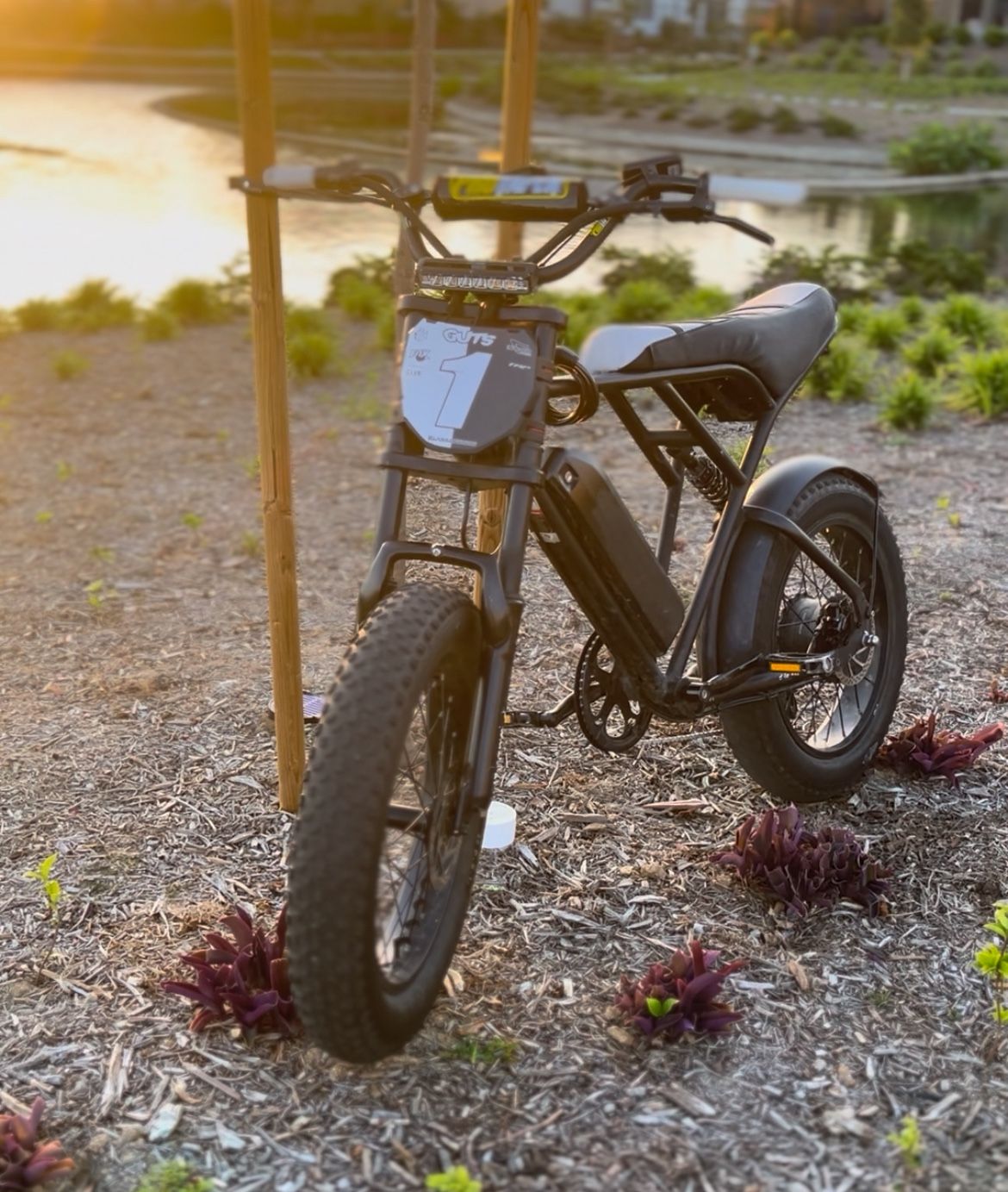 Goes 20 And Can Wheelie Just Trying To Get Rid Of It