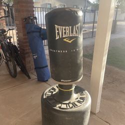 Everlast Punching Bag