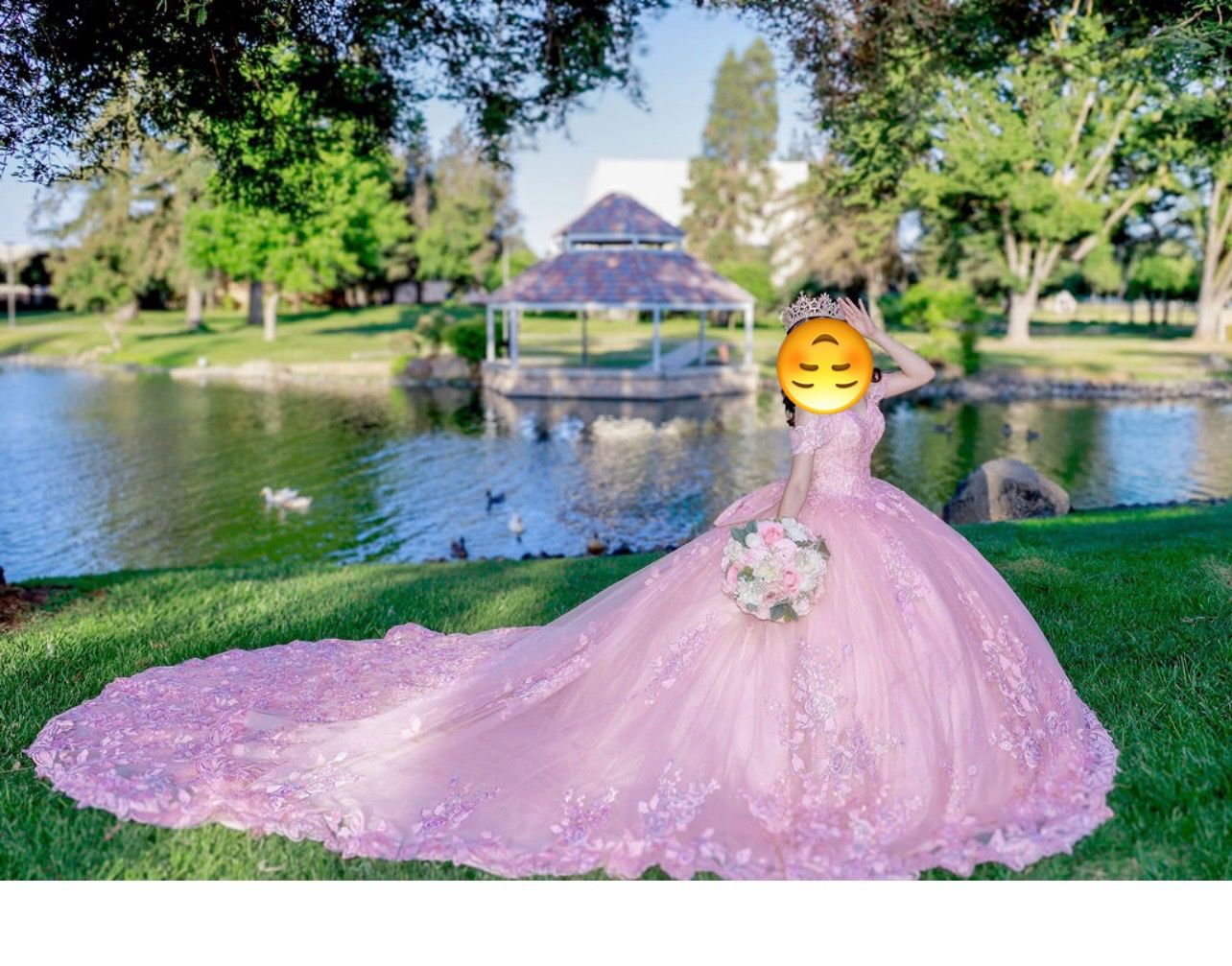 Quinciañera Dress 