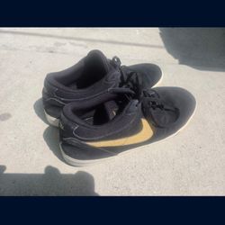 Paul Rodriguez Nikes 2007 V