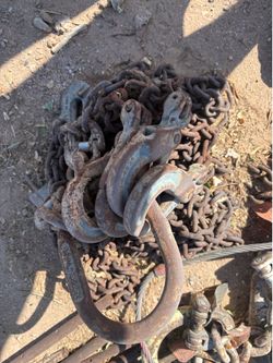 4 Way Bridle