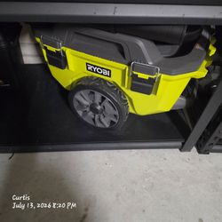 Ryobi wet vacuum