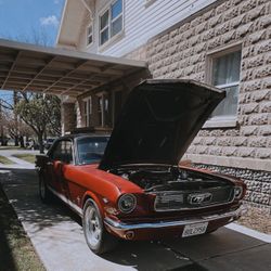 1966 Ford Mustang