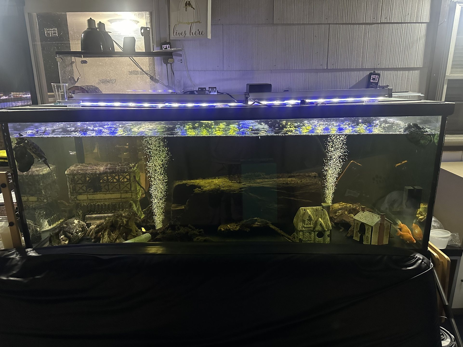 300 Gallon Large Monster Aquarium Fish Turtle Tank Terrarium