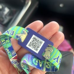 Beyond Wonderland Ticket 