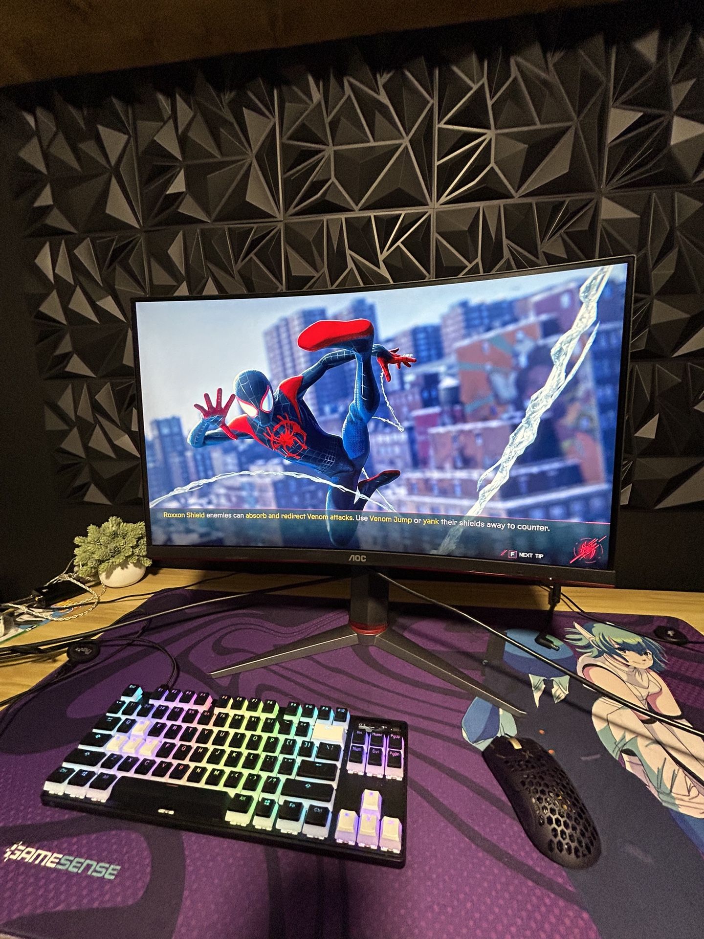 AOC 165htz 1920x1080 1ms