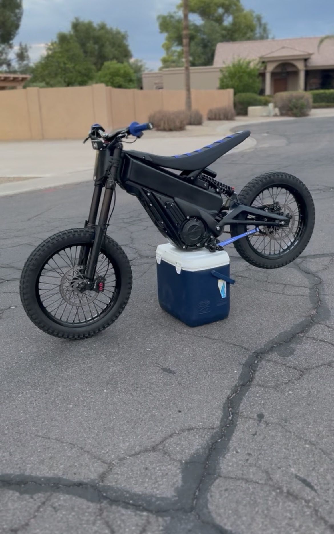 17in Shinkos (for trade)