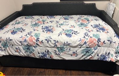 Twin bed with pull out bed