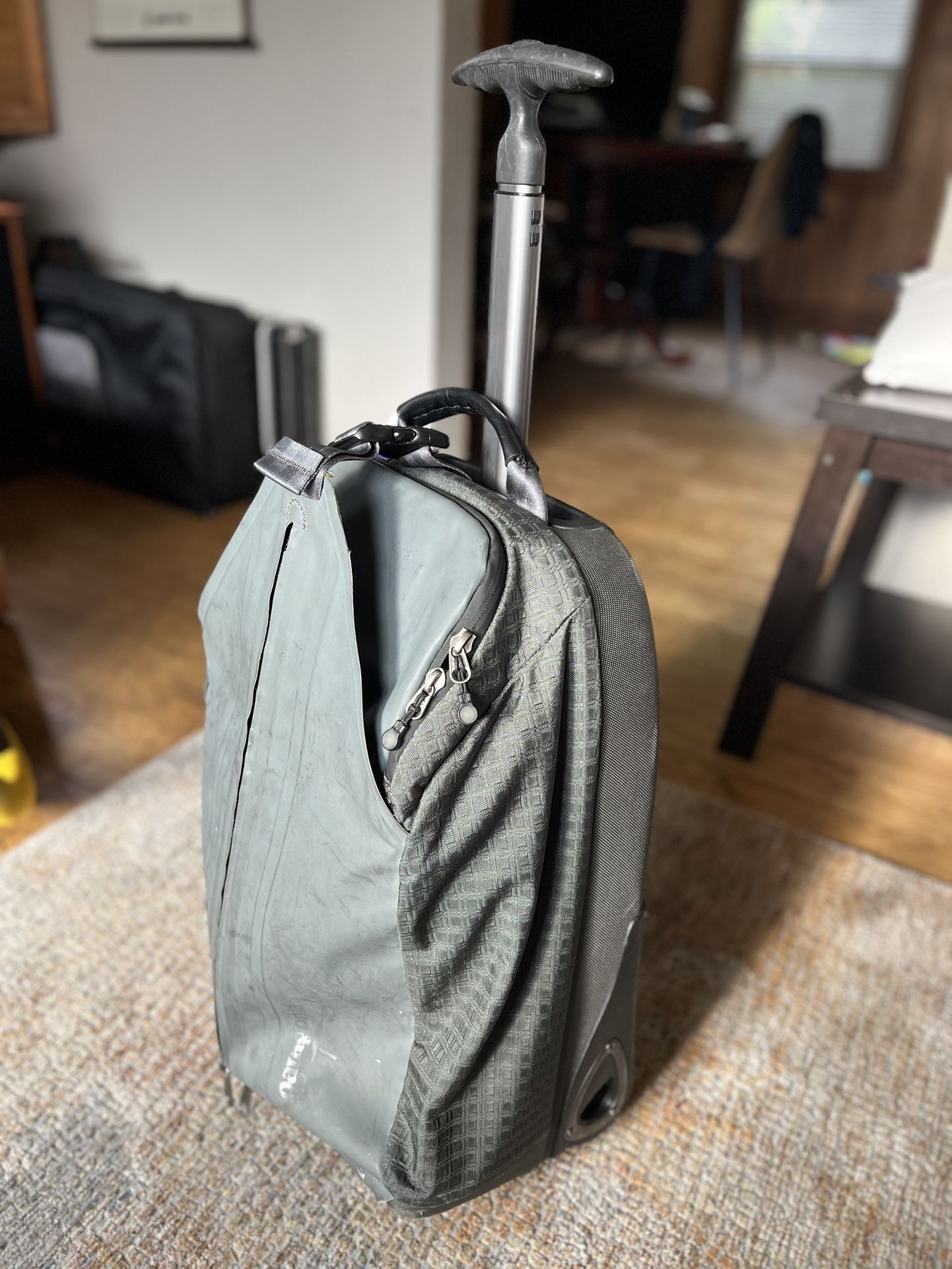 Patagonia Dry Travel Bag With Wheels