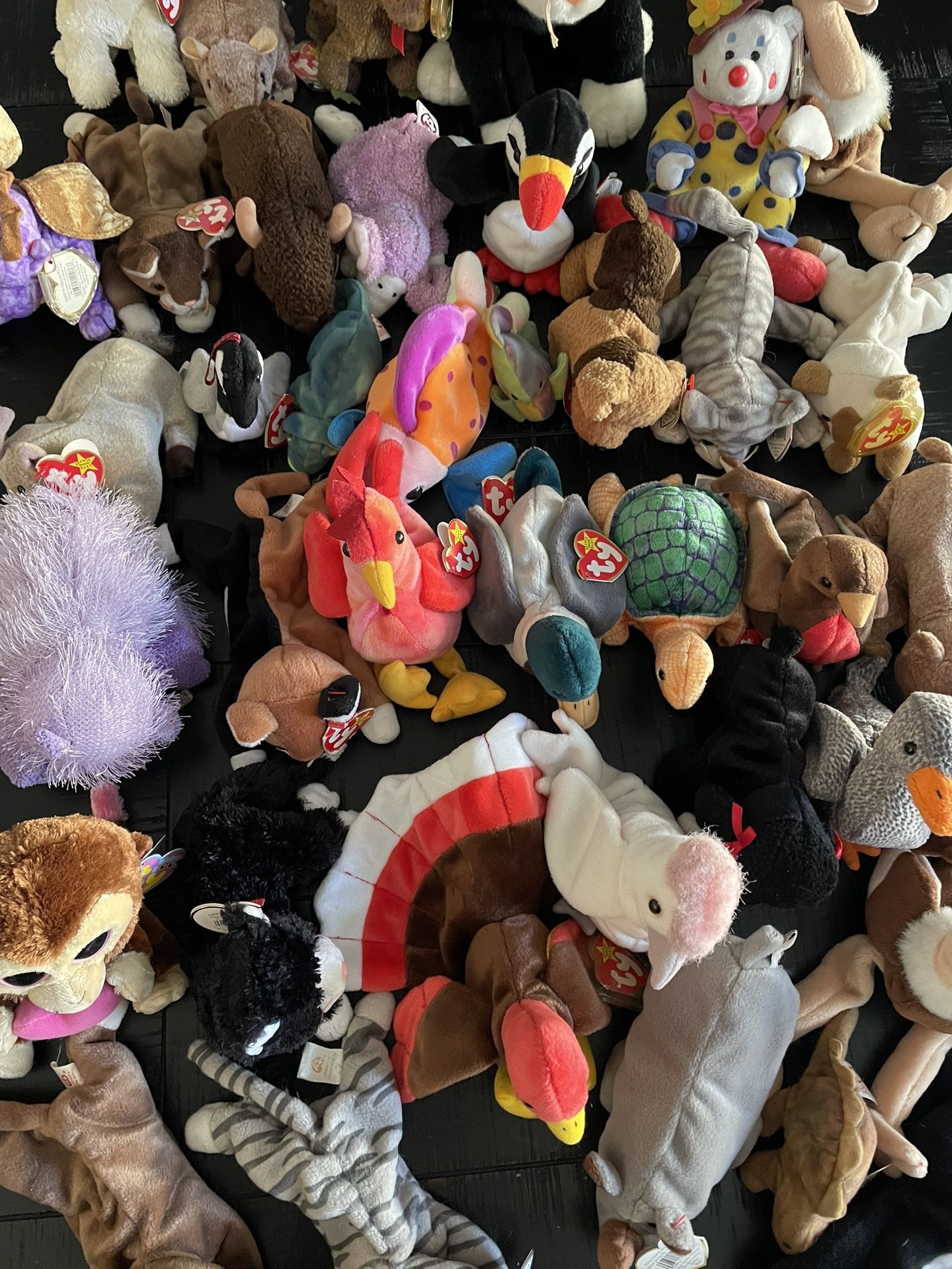 Beanie Baby Lot 40