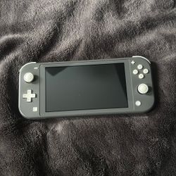 Nintendo Lite