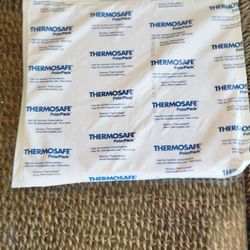 ThermoSafe Polar Foam Brick Freezer Cold Ice Packs (8.5"x 9.5"x" x .05") 9 Count