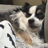Samantha
