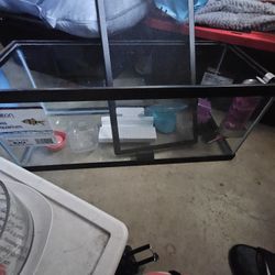Aquarium (20 Long)