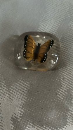 Butterfly Paperweight