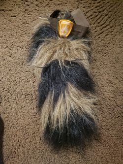 Guardian of Galaxy Tail- Disneylane