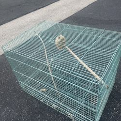 Bird Cage 