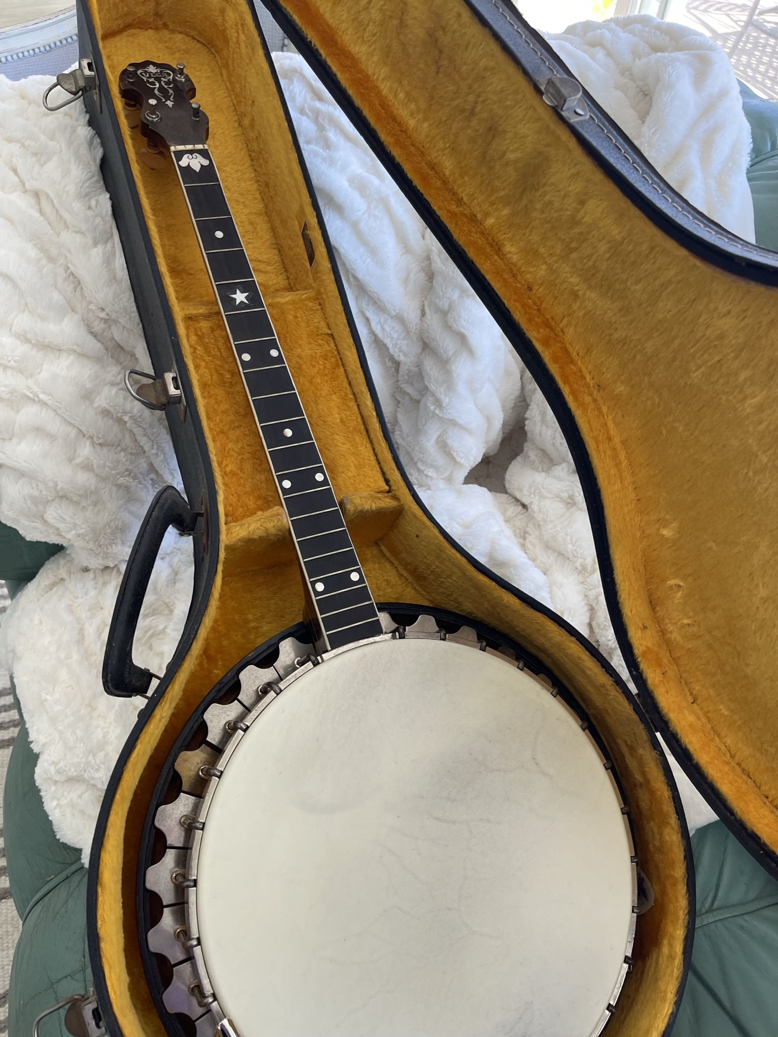 Vintage Vega Tenor Banjo