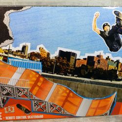 Tony Hawk Circuit Boards, Birdhouse . Includes Ramps , Rails, Skate Board. This Item Is Incomplete , Missing Remote / Possibly Missing One Block.