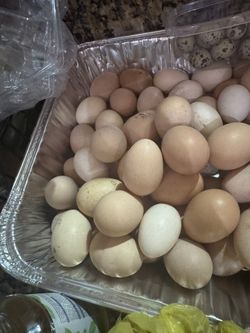 Fresh Organic Eggs 