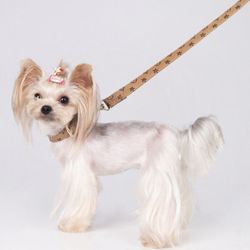Fashion pet leash and collar
