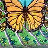 Jackiebutterfli 